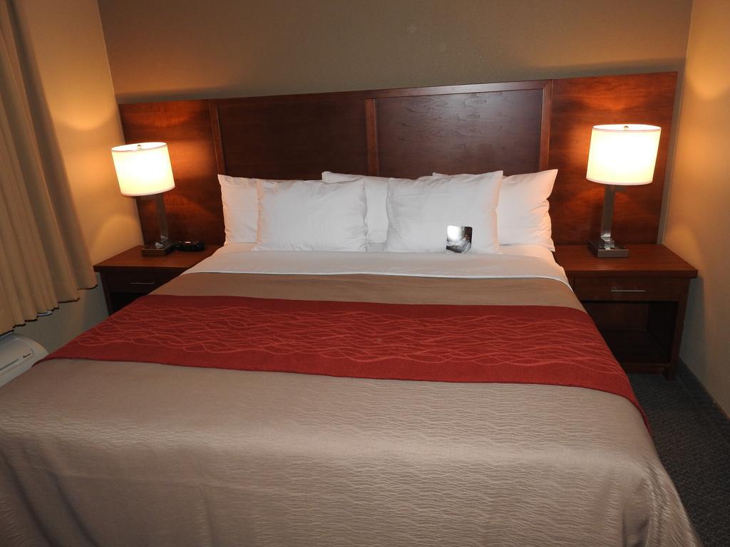Comfort Inn & Suites Langley Bagian luar foto