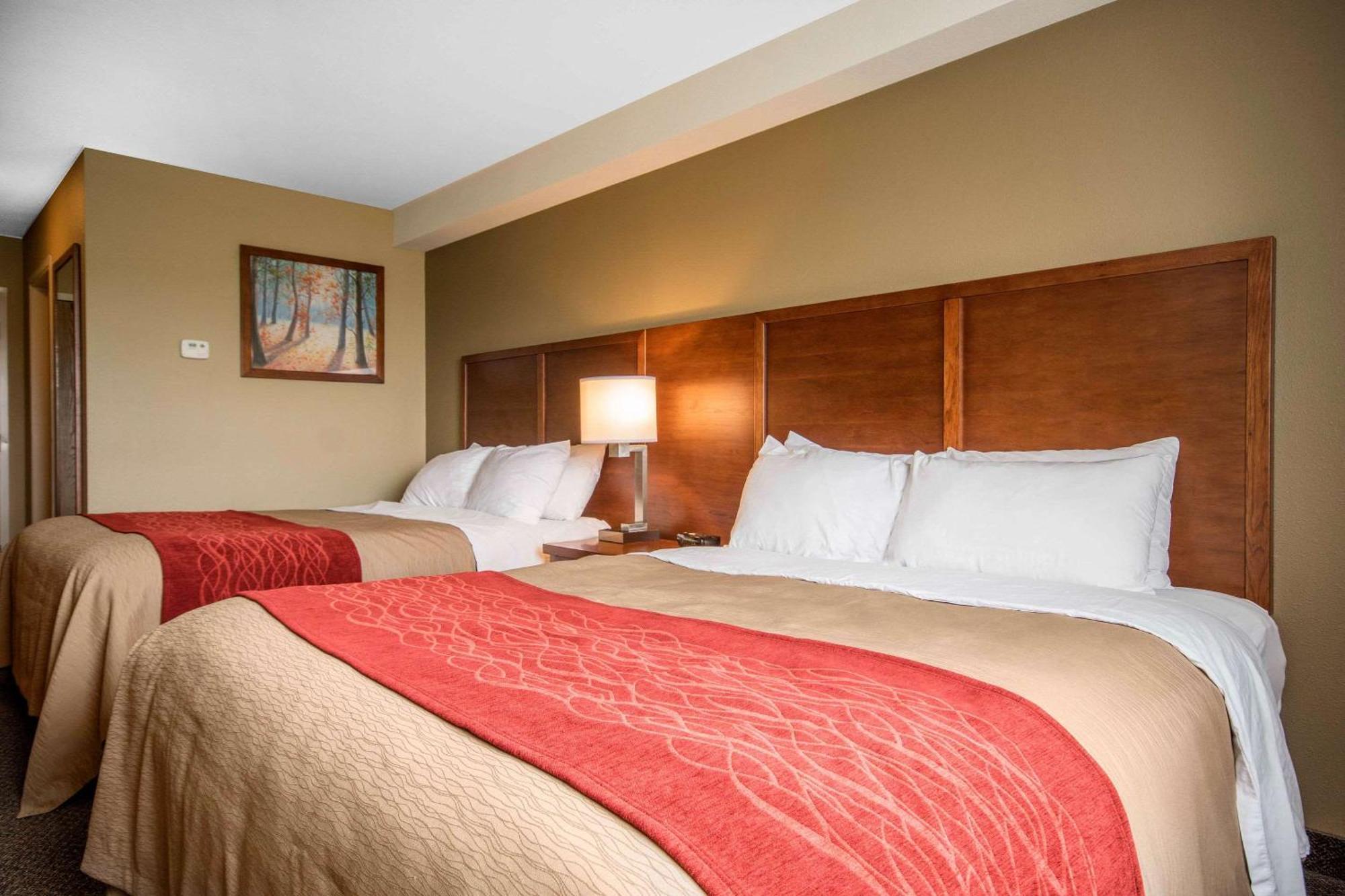 Comfort Inn & Suites Langley Bagian luar foto