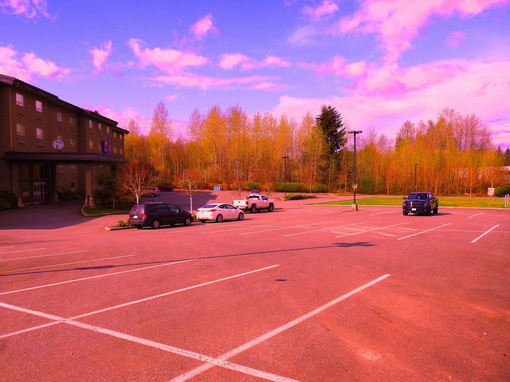 Comfort Inn & Suites Langley Bagian luar foto