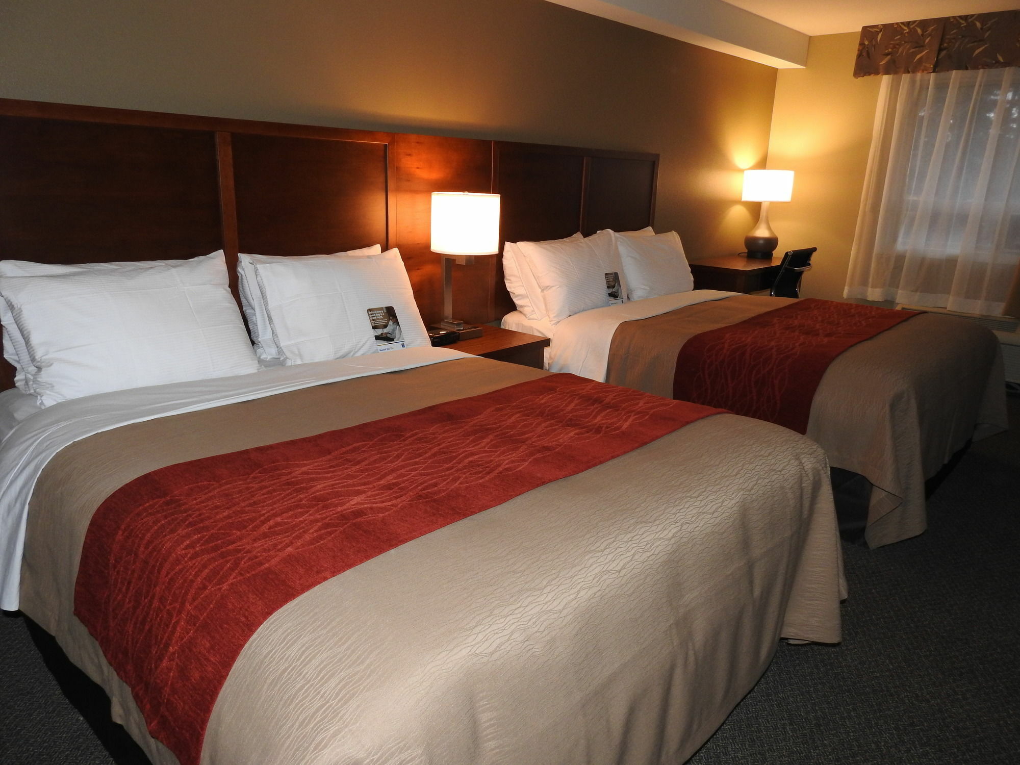 Comfort Inn & Suites Langley Bagian luar foto