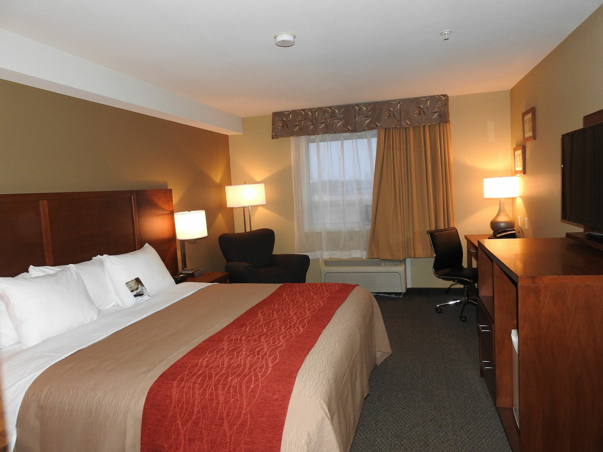 Comfort Inn & Suites Langley Bagian luar foto